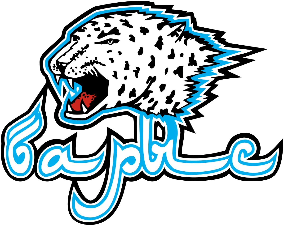 Barys Astana Logo